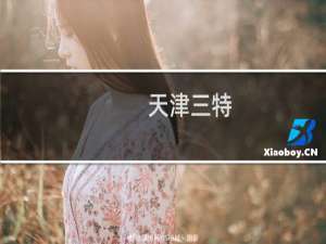 天津三特