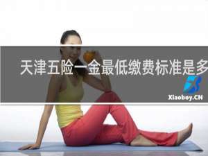 天津五险一金最低缴费标准是多少