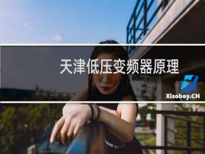 天津低压变频器原理