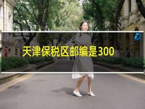 天津保税区邮编是300308