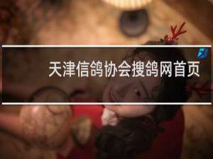 天津信鸽协会搜鸽网首页