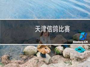 天津信鸽比赛