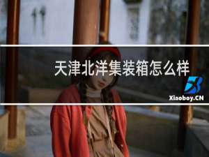 天津北洋集装箱怎么样