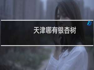 天津哪有银杏树