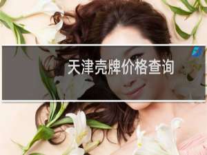天津壳牌价格查询