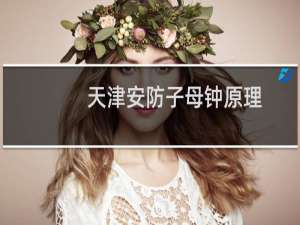 天津安防子母钟原理