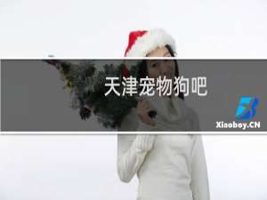 天津宠物狗吧