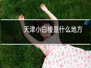 天津小白楼是什么地方
