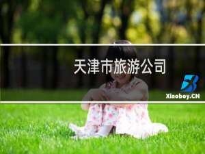 天津市旅游公司