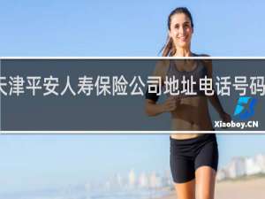 天津平安人寿保险公司地址电话号码是多少