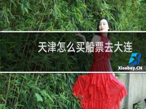 天津怎么买船票去大连