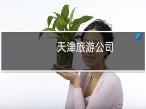 天津旅游公司