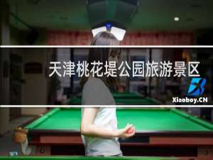 天津桃花堤公园旅游景区