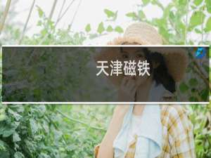 天津磁铁