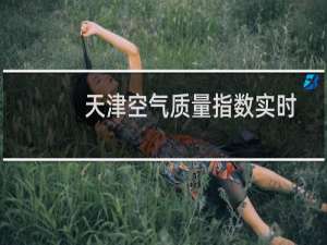 天津空气质量指数实时查询（天津空气质量好吗）