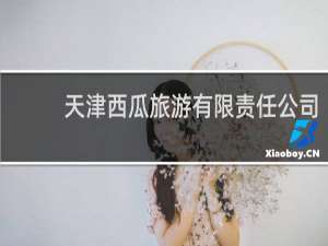 天津西瓜旅游有限责任公司