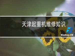 天津起重机维修知识