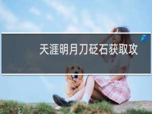 天涯明月刀砭石获取攻略