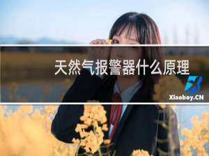 天然气报警器什么原理