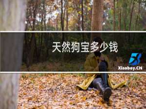 天然狗宝多少钱