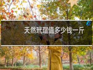 天然玳瑁值多少钱一斤