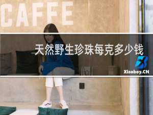 天然野生珍珠每克多少钱