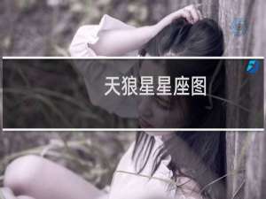 天狼星星座图