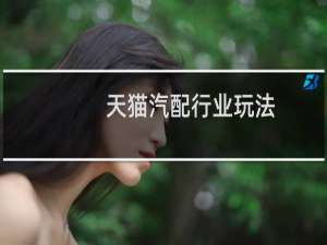 天猫汽配行业玩法