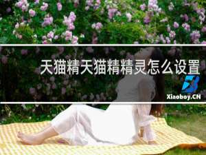 天猫精天猫精精灵怎么设置