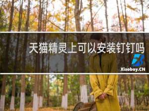 天猫精灵上可以安装钉钉吗