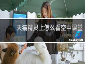 天猫精灵上怎么看空中课堂