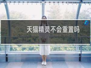 天猫精灵不会重置吗