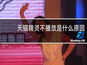 天猫精灵不播放是什么原因