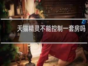 天猫精灵不能控制一套房吗