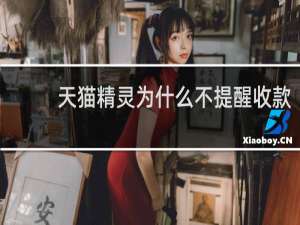 天貓精靈為什么不提醒收款