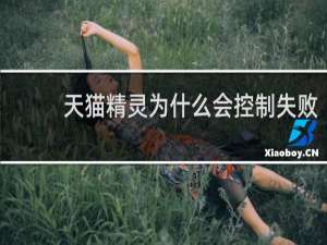 天猫精灵为什么会控制失败