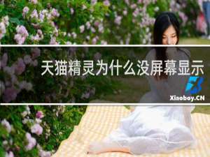 天猫精灵为什么没屏幕显示