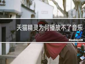 天猫精灵为何播放不了音乐