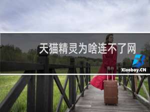天猫精灵为啥连不了网
