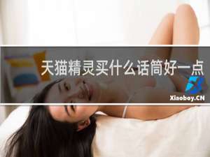 天猫精灵买什么话筒好一点