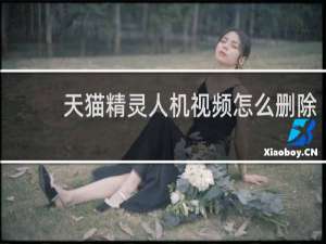 天貓精靈人機視頻怎么刪除