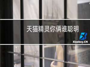 天貓精靈你倆誰聰明