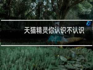 天猫精灵你认识不认识