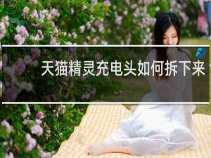 天猫精灵充电头如何拆下来