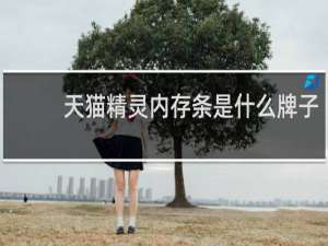天猫精灵内存条是什么牌子