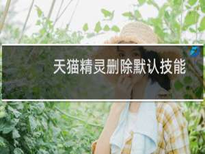 天貓精靈刪除默認技能