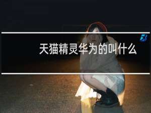 天猫精灵华为的叫什么