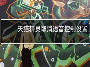 天貓精靈取消語音控制設置