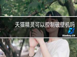天猫精灵可以控制破壁机吗