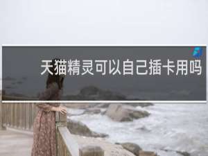 天貓精靈可以自己插卡用嗎